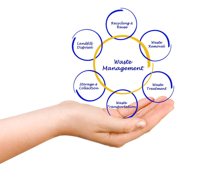 Your Bin Wasn't Emptied? Here's What to Do